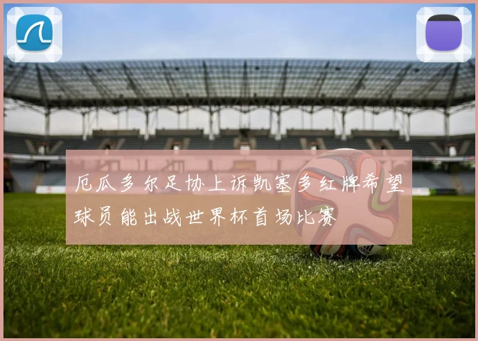 厄瓜多尔足协上诉凯塞多红牌希望球员能出战世界杯首场比赛
