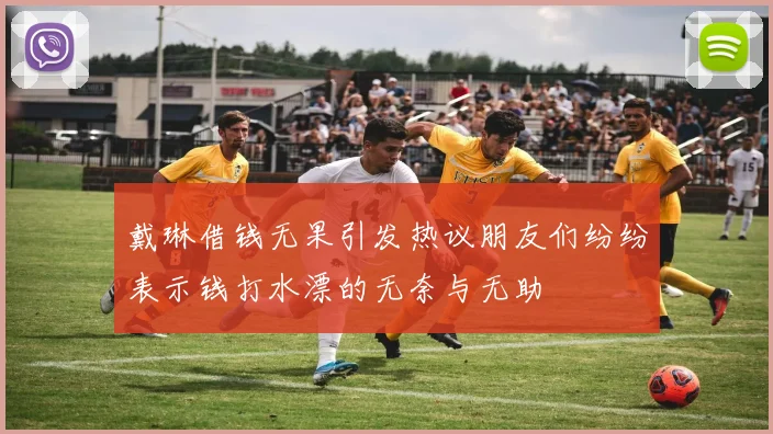 戴琳借钱无果引发热议朋友们纷纷表示钱打水漂的无奈与无助