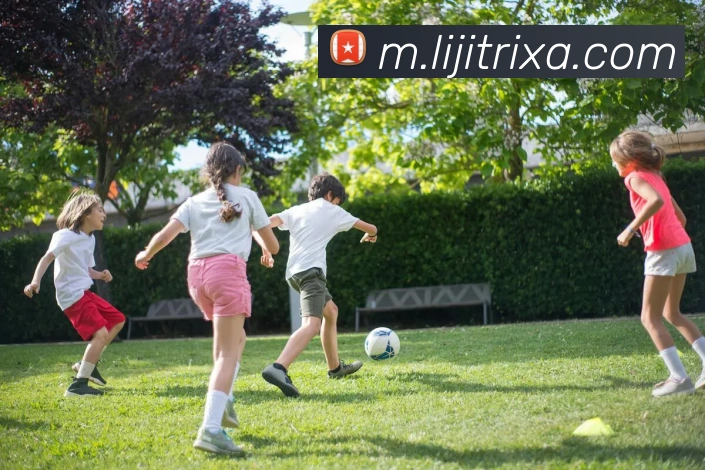 利记体育平台生态图