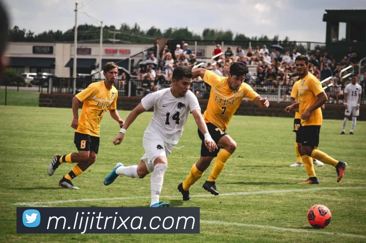 利记体育全站App